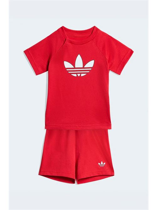 tf sts ADIDAS ORIGINAL | KD1035X